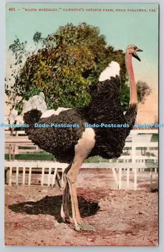 R745595 Cal Major McKinley Cawston Ostrich Farm near Pasadena Edward H Mitchell