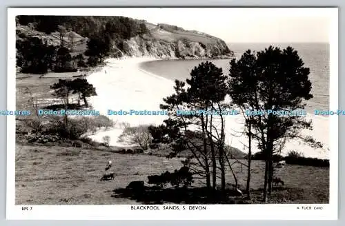 R749112 S Devon Blackpool Sands Raphael Tuck and Sons RP