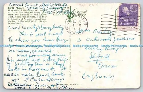 R745650 Date Palms Egypt and Arabia Bob Petley 1950