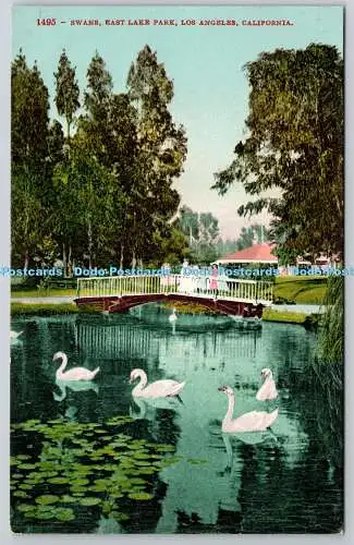 R745652 California Los Angeles East Lake Park Swans H Mitchel