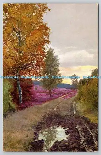 R745747 Valley Road Bloom Meadow Fox Souvenir Postals Photochromie Serie 178 No