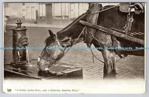 R749390 A Long Long Pull and a Strong Strong Pull Raphael Tuck and Sons Animal L