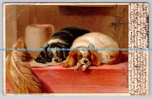 R749413 National Gallery King Charles Spaniels Raphael Tuck and Sons Serie 30 L