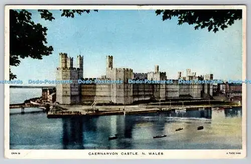 R749417 N Wales Caernarvon Castle Raphael Tuck and Sons Ltd RP 1953