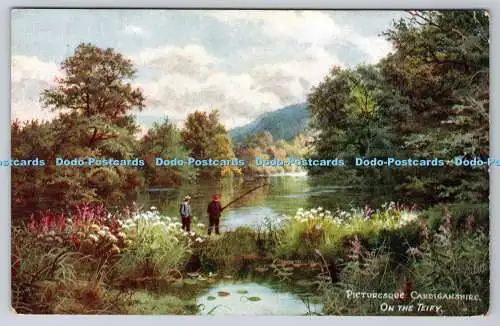 R749477 On the Teify Picturesque Cardiganshire Raphael Tuck and Sons Oilette Pos