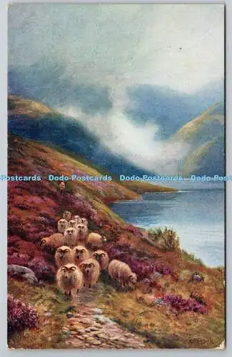 R745989 In den Highlands Raphael Tuck and Sons Oilette Postkarte Nr. 4022