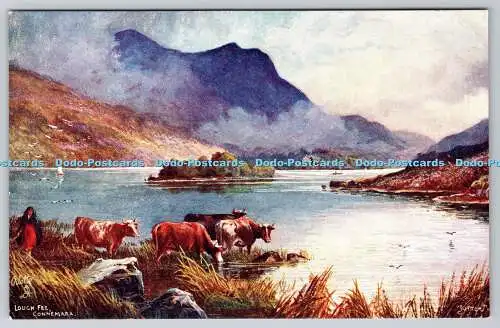 R748045 Connemara Lough Fee The Emerald Isle County Galway Tuck Oilette 7800