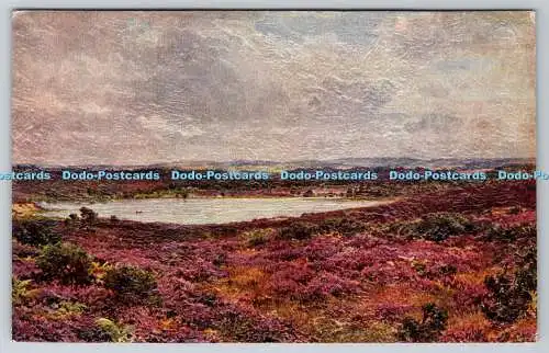 R748632 Surrey The Great Pond Frensham Pictograph London Oilograph Beauty Spots