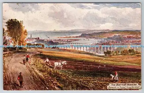 R748676 The Scottish Borders Berwick on Tweed From The West Tuck Oilette No 3465