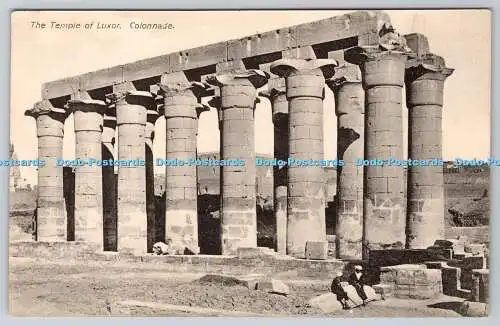 R748788 Kolonnade Der Tempel von Luxor C L