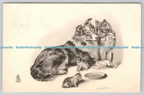 R749749 Hund und Katze und Kätzchen Raphael Tuck and Sons Animal Studies Serie 1193