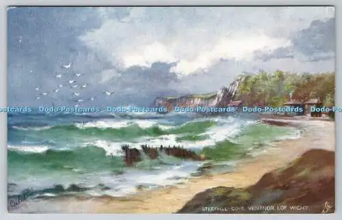 R749753 I of Wight Ventnor Steephill Cove Rough Seas Raphael Tuck and Sons Oilet