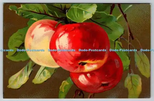 R749864 Apples Alphalsa Publishing Co Ltd T A M Serie Artistica Velluto