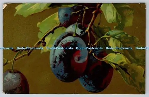 R749865 Plums Alphalsa Publishing Co Ltd T A M Serie Artistica Velluto