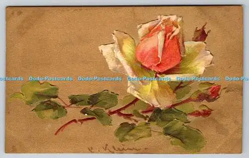 R749881 Rose Raphael Tuck and Sons Kunst Postkarte Nr. 6854