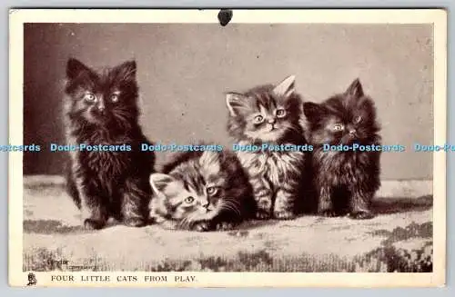 R749918 Vier kleine Katzen aus Play Raphael Tuck und Söhne Glosso Postkarte 5614