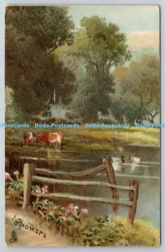 R749971 Blick auf den Fluss und die Wiesenkühe Raphael Tuck and Sons Kunstserie 6759