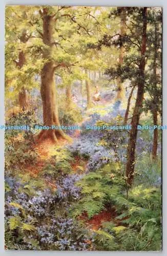 R749973 Woodland Walks Raphael Tuck and Sons Oilette Postkarte Nr. 3602