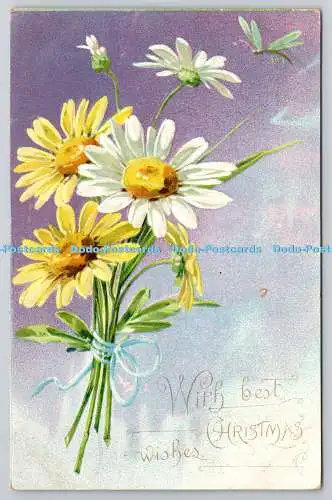 R750248 With Best Christmas Wishes Marguerites Raphael Tuck and Sons