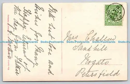 R750627 Aufrichtige Wünsche zum Geburtstag Carlton Publishing Co 1912