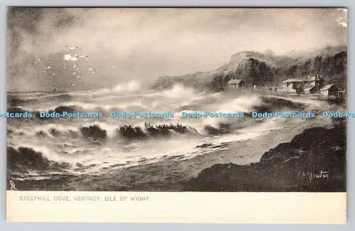 R751888 Isle of Wight Steephill Cove Ventnor Raphael Tuck and Sons Rough Sea Ser