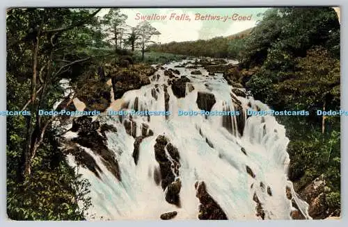 R752046 Betty Coed Swallow Falls Valentine Serie 1908