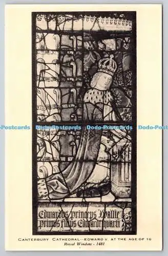 R750934 Canterbury Cathedral Edward V at the Age of 10 Royal Window 1481 Raphael