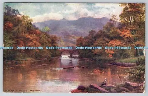 R752329 Killarney Old Weir Bridge Tuck Oilette Series II No 7260 PM Rochester 19
