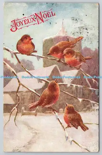 R751205 Joyeux Noel The Robin Redbreast Raphael Tuck and Sons Oilette Postkarte N