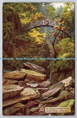 R751471 Malerische Cardiganshire Circular Bridge Aberystwyth Raphael Tuck und S