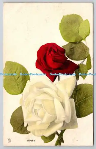 R752767 Rosen Steckblume 6625 1908