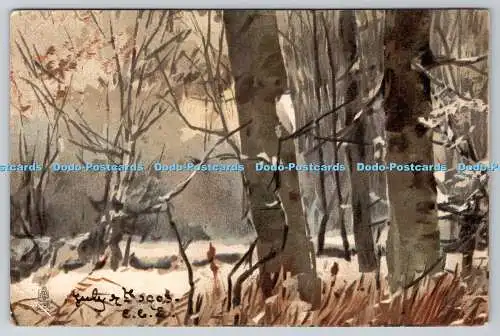 R751670 Winter Forest Raphael Tuck and Sons Art Serie 926 1903