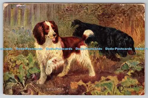 R751676 Spaniels Raphael Tuck and Sons Oilette