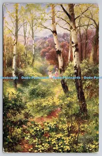 R752960 Woodland Walks Tuck Oilette No 3601