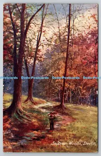 R752968 Devon Saltram Woods Malerische Devon Tuck Oilette Serie X Nr 7834