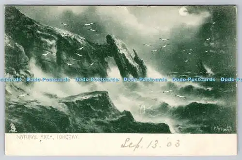 R751724 Torquay Natural Arch Raphael Tuck and Sons Rough sea Serie 1108