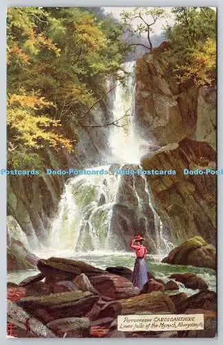 R752969 Malerische Cardiganshire Aberystwyth Lower Falls des Mynach Tuck Oil