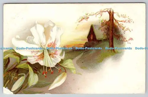 R751743 Village Lily Raphael Tuck and Sons Art Series 1909