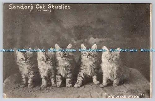 R751750 We are Five Landor Cat Studies Raphael Tuck and Sons Art Series 862 1904