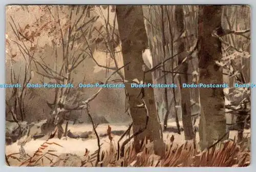 R751754 Winter Forest Raphael Tuck and Sons Art series 926 1906