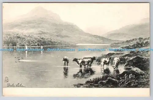 R751757 Bala Lake Raphael Tuck and Sons Art Series 996