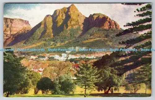 R753426 Cape Town University Hortors