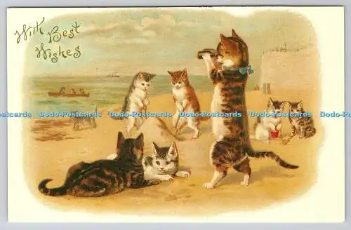 R753523 With Best Wishes Cats at The Beach B Shackman N Y