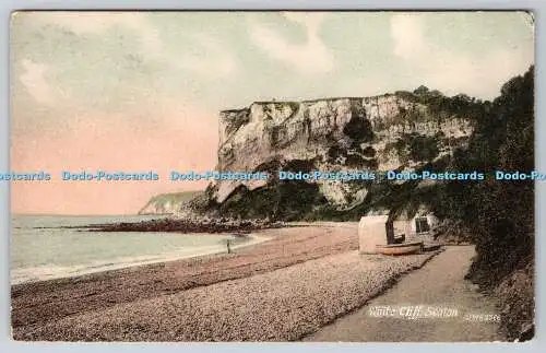 R753827 White Cliff Seaton R Welch Portsmouth PM Seaton Devon 1906