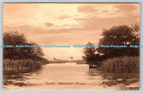 R753882 South Walsham Broad Postkarte