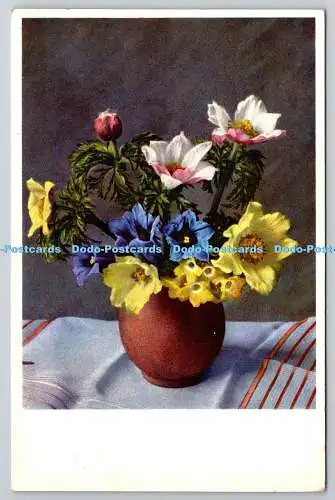 R755989 Alpenblumen Gyger und Klopfenstein PM Christchurch Hants 1961