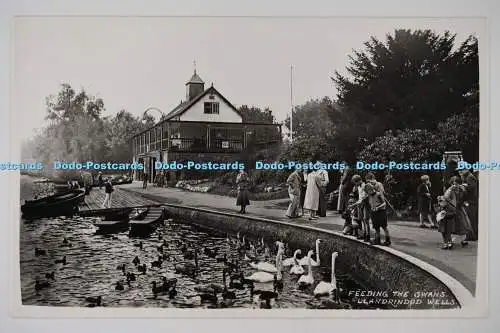 C026233 Llandrindod Wells Feeding The Swans Harvey Barton Bristol RP