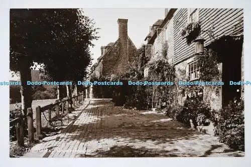 C026697 Groombridge The Walks M Kemp The Walks The Wells Serie RP