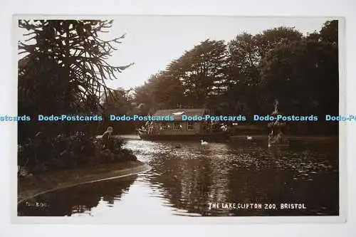 C026957 Bristol The Lake Clifton Zoo A G S Chatterton Serie