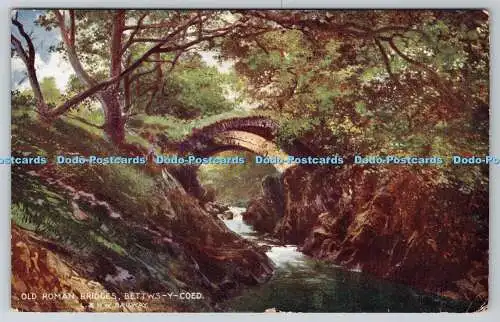 R755114 Bettws y Coed Old Roman Bridges L and N W Railway McCorquodale and Co 19